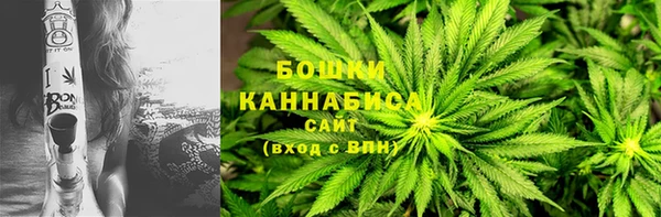 СК Козельск