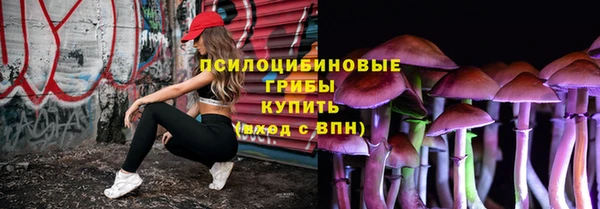 ГАЛЛЮЦИНОГЕННЫЕ ГРИБЫ Касимов